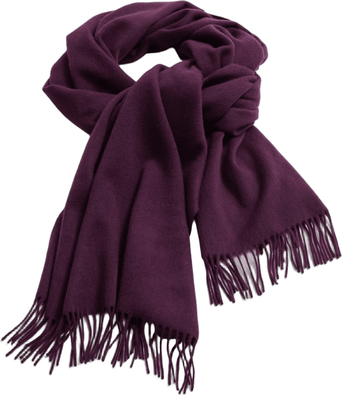 & Other Stories Fringed Wool Blanket Scarf, Plum